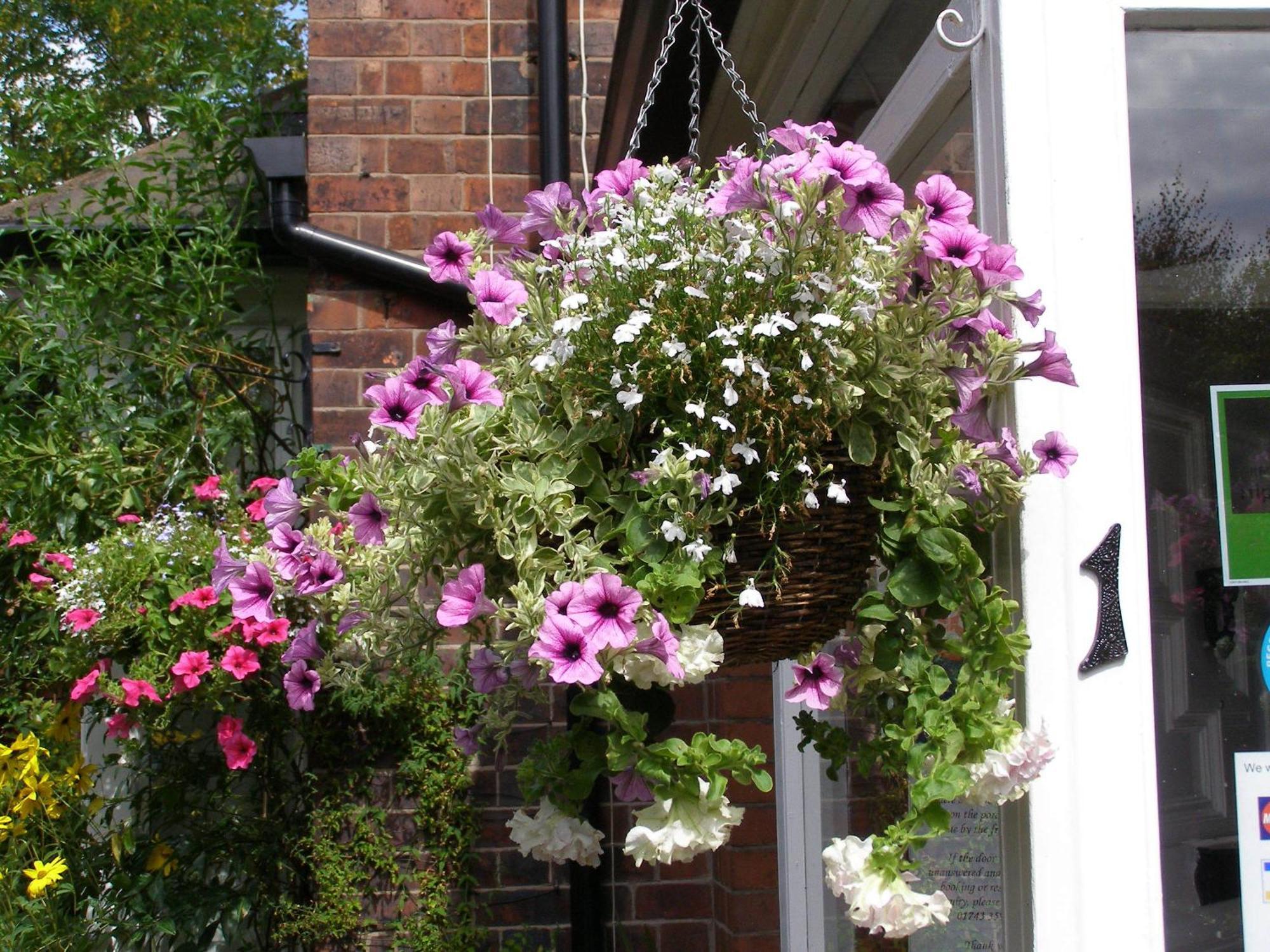 Anton Guest House Bed And Breakfast Shrewsbury Luaran gambar